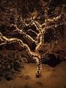 Low voltage tree lighting uk