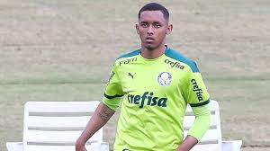 sociedade esportiva palmeiras