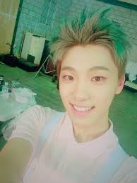 Image result for seventeen dino real name
