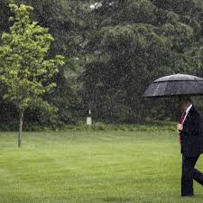 Trumps Geburtstagsparade: Wetterchaos und Proteste überschatten Jubiläum - Imagen ilustrativa del artículo