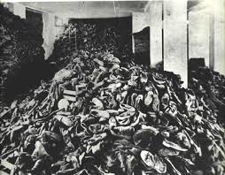 Image result for the holocaust