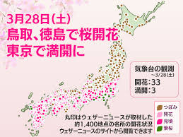 News source: ウェザーニュース