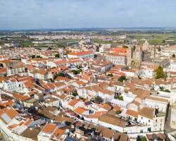 エヴォラの画像