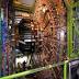 Media image for cern from Sputnik International