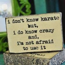 funny quotes, i do not know karate, but i know crazy and i am not ... via Relatably.com