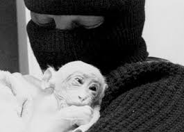 Résultat de recherche d'images pour 