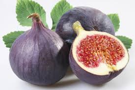 Risultati immagini per fico brogiotto