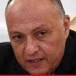 سامح شكري رحب بتعديل أوكرانيا