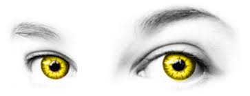 Bildergebnis für colored contacts