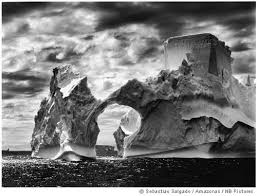Image result for sebastião salgado genesis