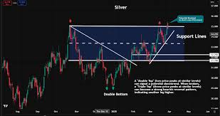 Gold Hits New Highs Above $3,000, Silver Poised for $50 Target Amid Economic Uncertainty