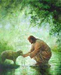 Image result for images for a sheep of His fold