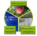 Hva er biologisk mangfold