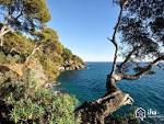 Location Vacances, Location saisonniere Cavalaire sur Mer