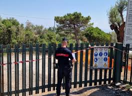 Metropolisweb - News update