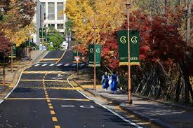 성균관대학교 아이콘