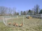 Electronet fencing primer: how to manage in diverse conditions