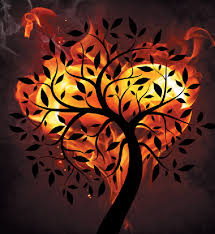Image result for flame of love