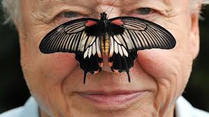 Legend. Icon. Prophet. David Attenborough on the cusp of 100