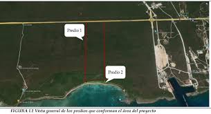 Semarnat da luz verde al proyecto 