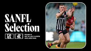 portadelaidefc.com.au - News update