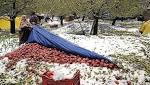 Snowfall November causes massive damages