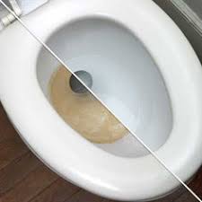 toilet cleaner products ile ilgili görsel sonucu