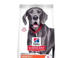 Hill's Science Diet Adult Large Breed Dog Dry Food, Perfect Digestion, Chicken Recipe