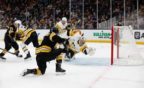 Public Skate: Bruins vs. Penguins