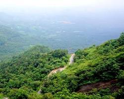 Image of Lakkidi View Point Wayanad
