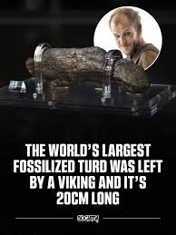 The largest human poop ever discovered is known as the Lloyds Bank Coprolite, found in York, England, in 1972. It belonged to a Viking and measured about 20 cm long and 5