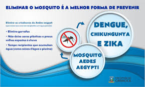 Resultado de imagem para dengue zika e chikungunya