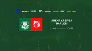 Palmeiras x Capivariano: informações, estatísticas e curiosidades