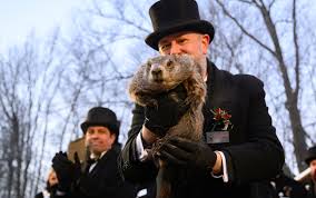 Punxsutawney Phil predice más invierno. ¿Qué tan preciso es la marmota?