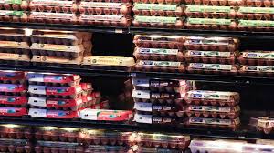 egg recall salmonella