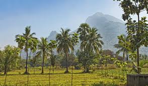 Image result for tamilnadu images