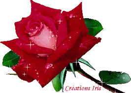 Résultat de recherche d'images pour 