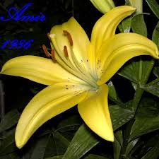 images?q=tbn:ANd9GcRxICLTxuxwFSGAGoWq5tVnDLM_sRi_g44DvayhcZmoF7G0Mzf4