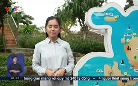 Kỷ lục Sân chim biển lớn nhất Việt Nam