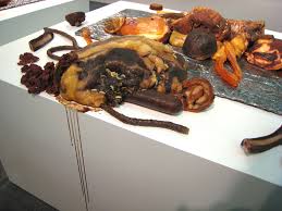 Image result for tony matelli