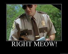 Super Troopers on Pinterest | Superbad Quotes, Step Brothers and ... via Relatably.com