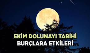 Milliyet - News update