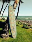 Bob olson surfboards