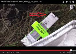 Image result for mh17 wings