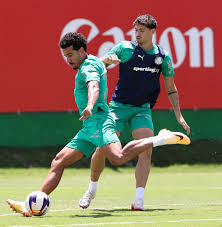 Reservas do Palmeiras brigam por vaga no time em "última" chance: "Não tem zona de conforto"