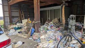 Around 100 dead cats found at Japan woman’s home