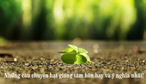 Những Câu Chuyện Hạt Giống Tâm Hồn Hay Nhất Nên Đọc