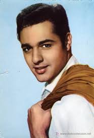 Resultado de imagem para sal mineo