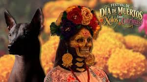 Con recorridos nocturnos y caminatas de xolos: Así será el Festival de Día de Muertos en el Centro Histórico
