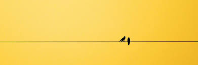 Image result for ‫عشق‬&lrm;